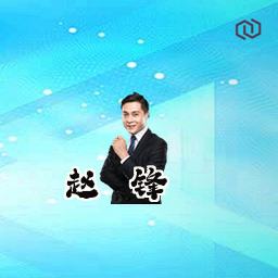赵霆锋